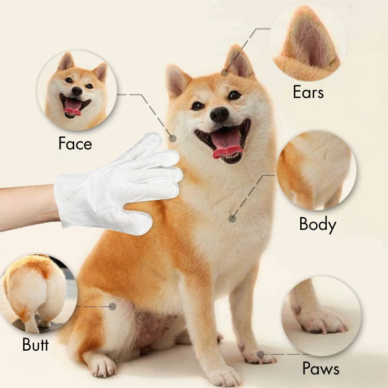 BFF PETS Deodorizing Cat & Dog Glove Wipes