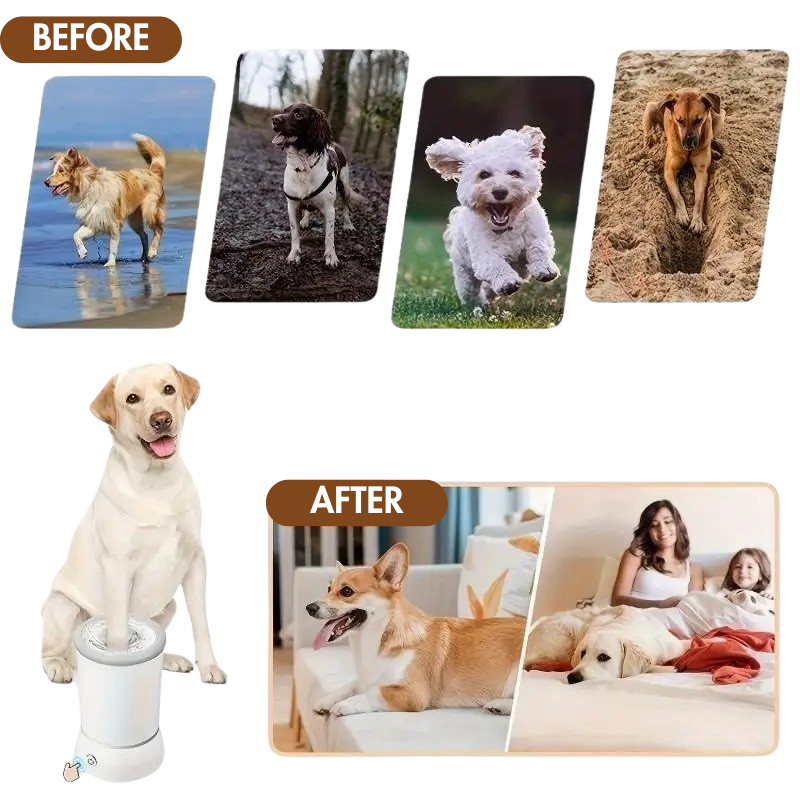 BFF Pets | InstaPaw™ Automatic Cleaner