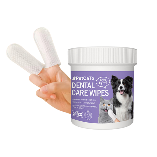 BFF PETS Finger Glove Cat & Dog Dental Wipes