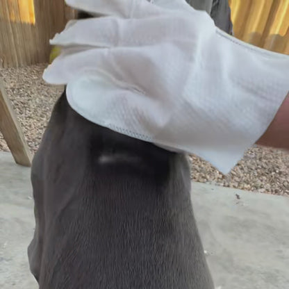 BFF PETS Deodorizing Cat & Dog Glove Wipes