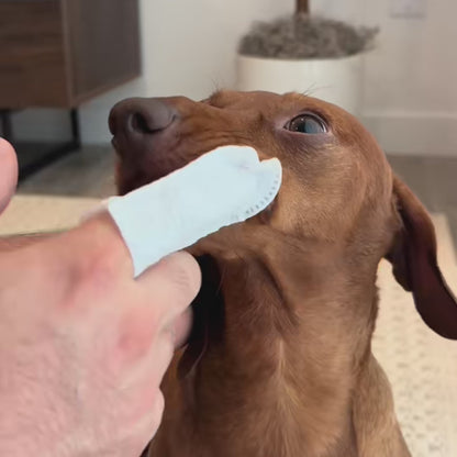 BFF PETS Finger Glove Cat & Dog Dental Wipes